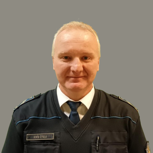 Veréb Gyula